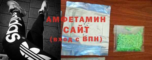 индика Алексин