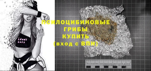 индика Алексин