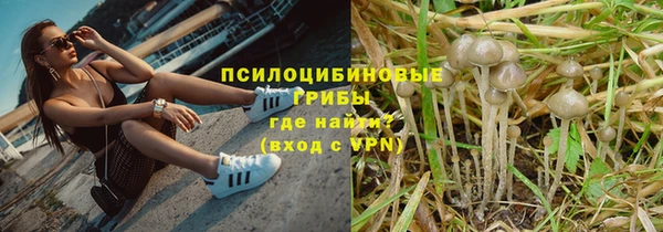 хмурый Алексеевка