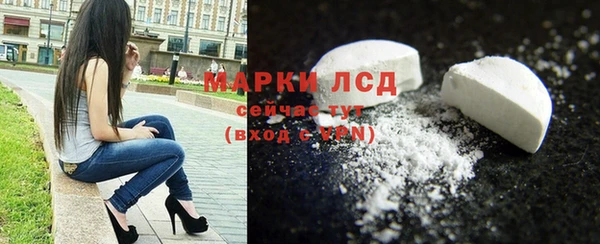 индика Алексин