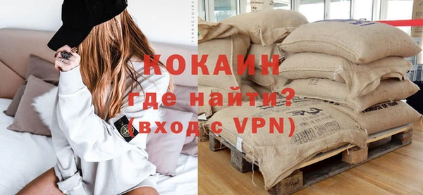 индика Алексин