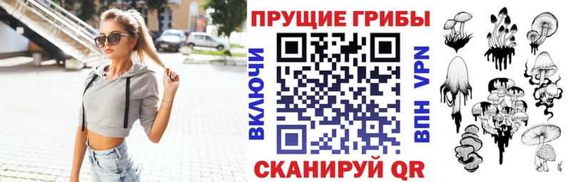 закладки  Сортавала  дарк нет какой сайт  Псилоцибиновые грибы Psilocybine cubensis 